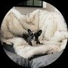 couchpanini